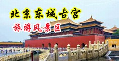 日本浓毛骚妇自慰中国北京-东城古宫旅游风景区